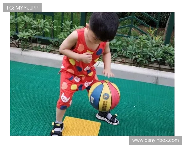 张丽独家分享篮球心得与技巧助你提升球技的秘诀与经验分享