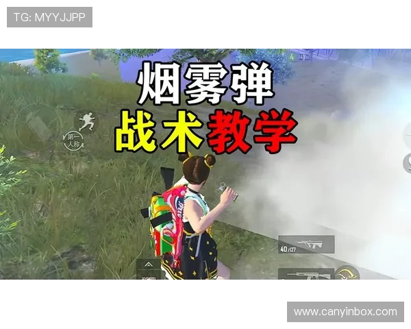 成都极限运动队反击战术解析与实战应用探讨