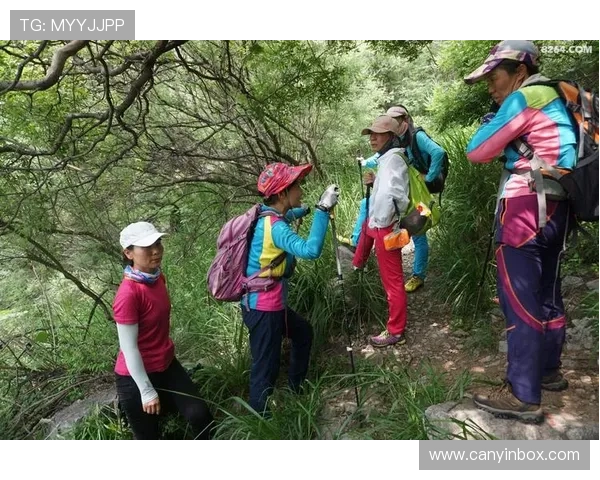 成都攀岩队的精神探索与团队意识的深度剖析与分享 成都攀岩队的精神探索与团队意识的深度剖析与分享